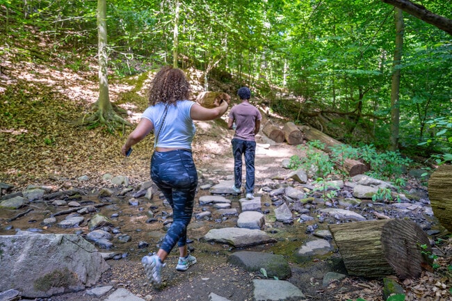 Reservation 630 in Cleveland Park has walking trails and a small, bubbling brook.