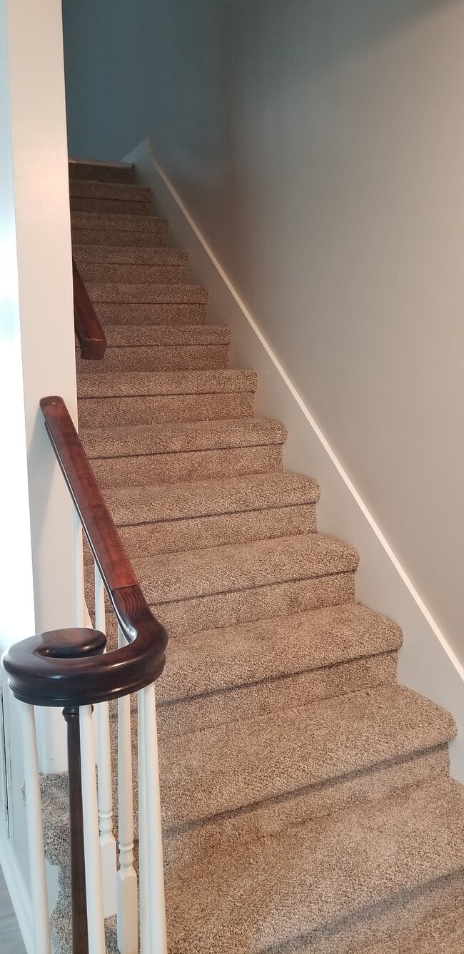 Stairs with new carpet