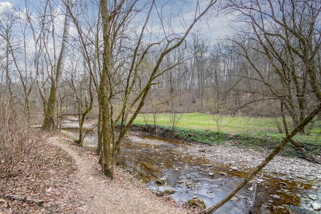 The California Woods Nature Preserve  nearby Mount Washington, OH, offers hiking trails.