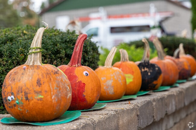 Painted pumpkins add festive charm to Ashton during the fall season.