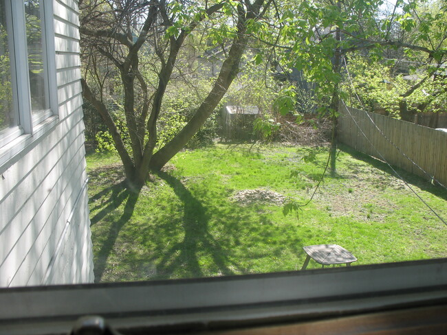Yard from window