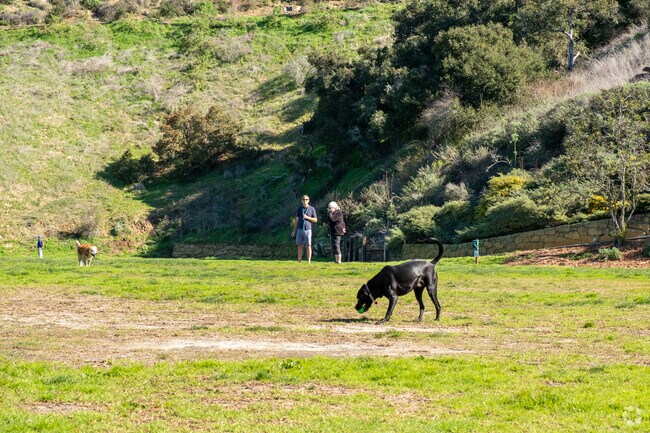 There are some great Dog Parks in Alta Mesa.