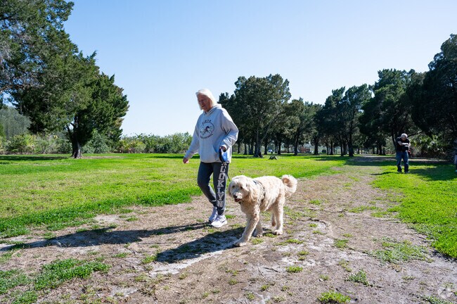 Dog owners love taking walks at Eagle Point Park in Greater New Port Richey South.