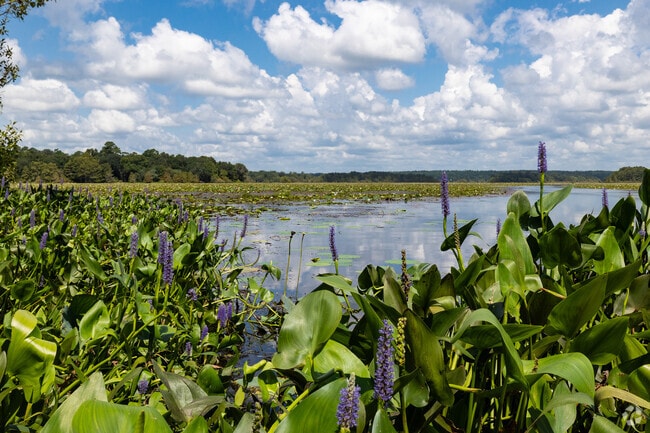 Lake Iamonia and it's pristine natural beauty feels like a world apart.