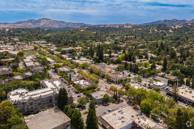 Mount Diablo can be seen in the distance overlooking Springbrook.