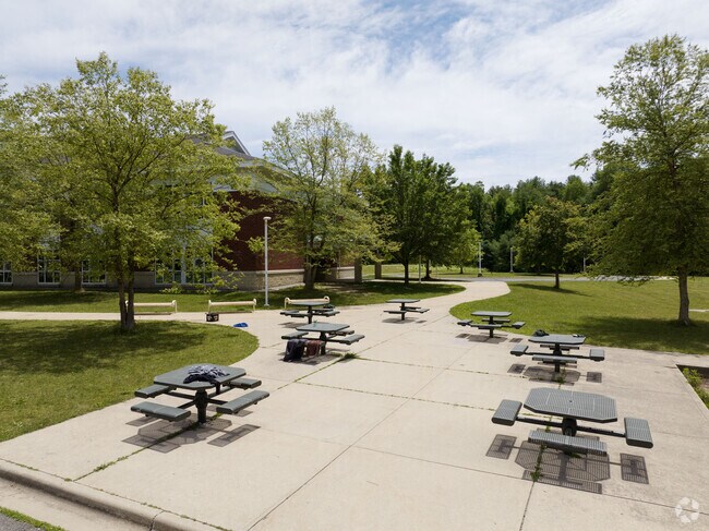 A large group of picnic tables brining class and meal time outside in Great Barrington, MA.