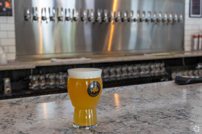 Vicious Fishes is a craft brewery that has a taproom located in Apex, NC.