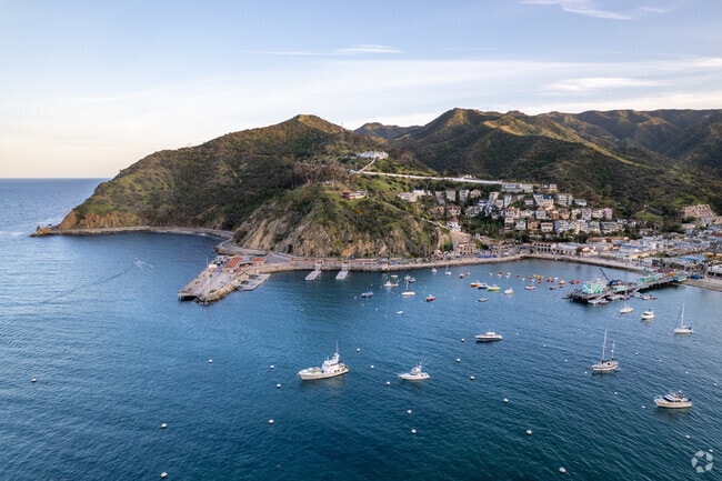 Catalina boasts white sand beaches and crystal-clear waters, reminiscent of a South Pacific paradise.