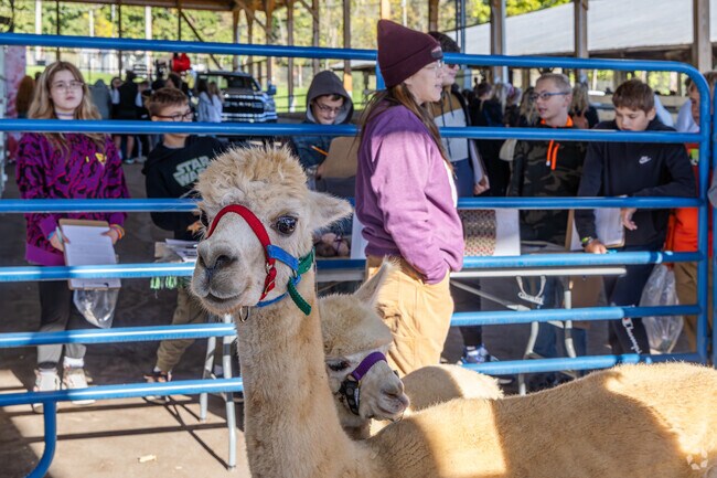 The Bedford County Fair offers family fun with rides, livestock shows, and delicious food.