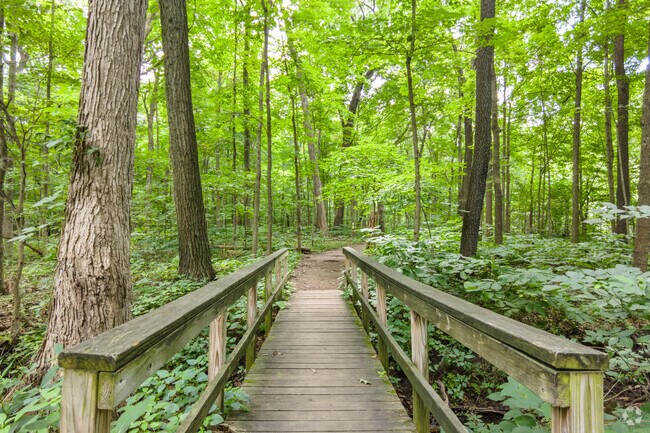 Head to the trails to hike around the natural area of Cherry Hill in New Lenox.