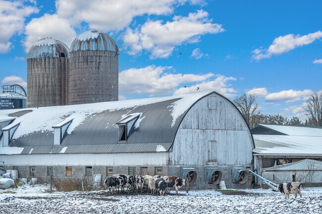 Large dairy farms can be found throughout Emerald.