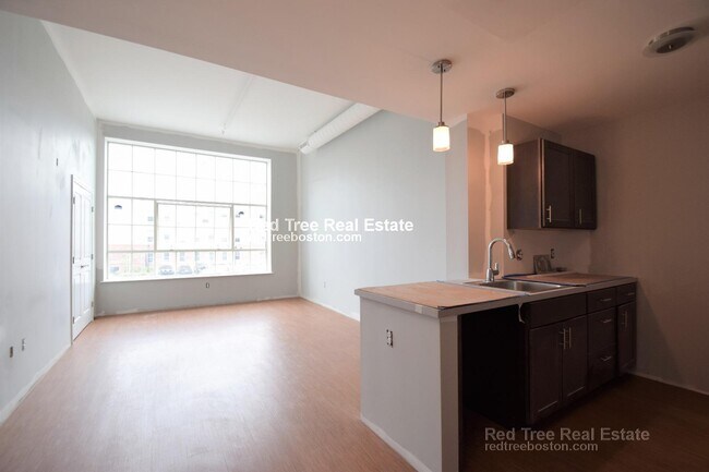 9 Williams St unit 310, Boston, MA 02119 - photo 4