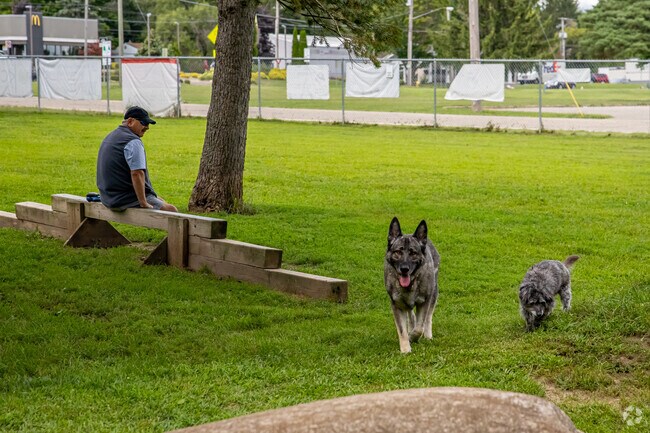 Battle Creek locals can come to Home Run Dog Park to let their furry friends run free.