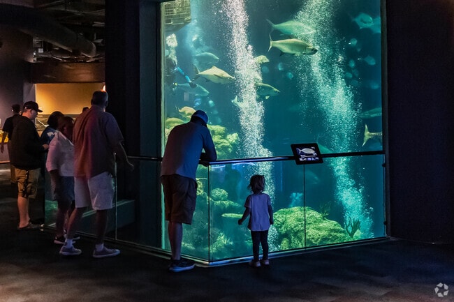 South Carolina Aquarium has amazing sea life exhibits for East Side families to enjoy.