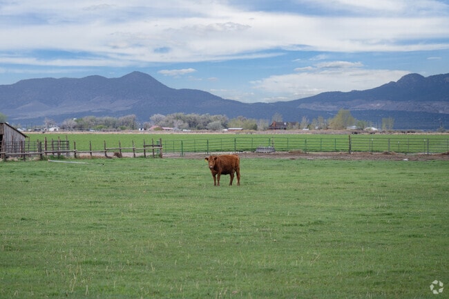 The landscape surrounding Enoch is a patchwork of farmland, dotted with white picket fences and barns.