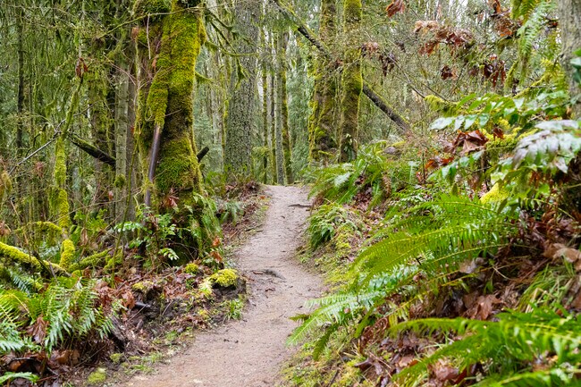 Forest Park's 5,200 acres of hiking trails is a 7min. drive from the Bethany neighborhood.