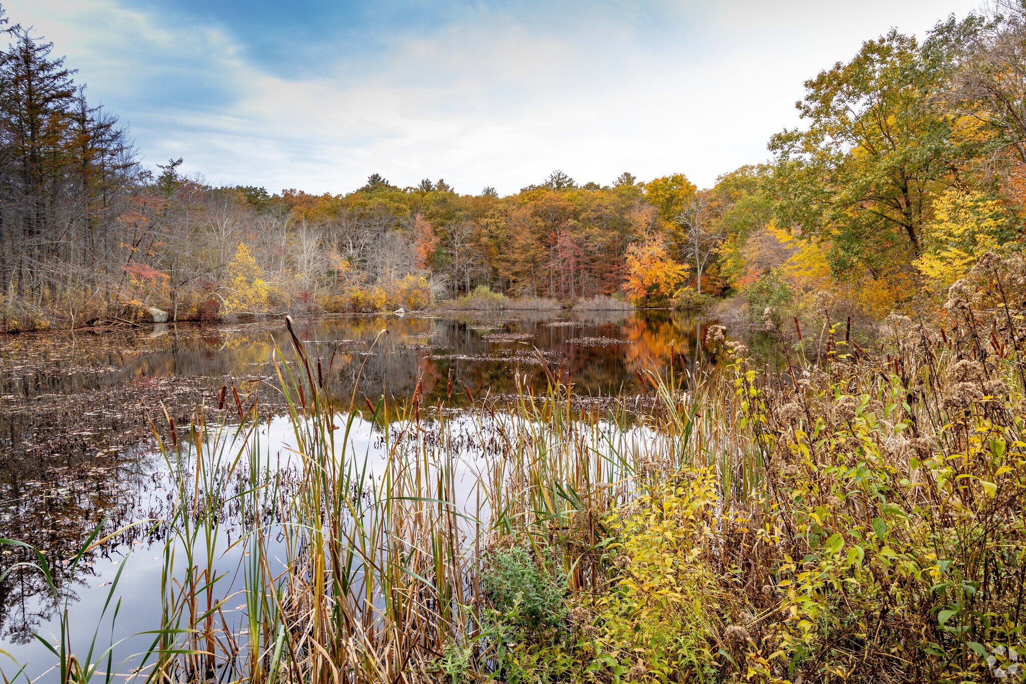 Enjoy hiking on the nature trails at Frenchtown Park and Frye Nature Preserve.