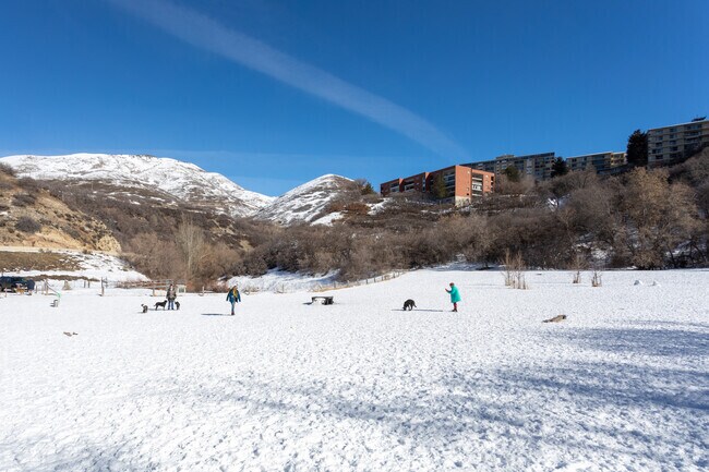 Rotary Glen Dog Park located in the East Bench neighborhood.