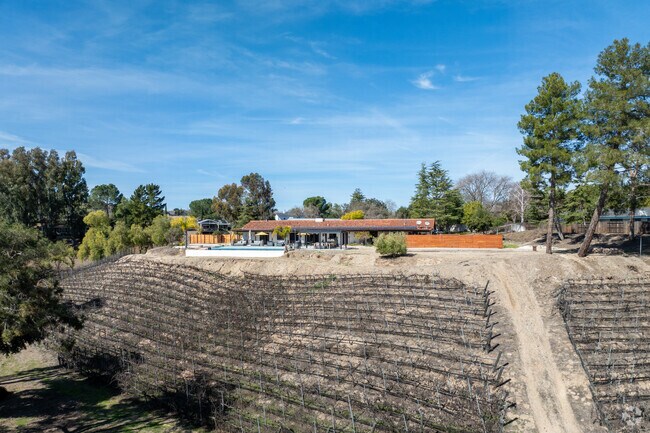 Some homes have their own vineyards in Los Olivos.