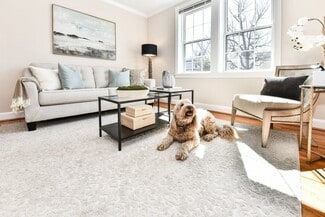 6 E Nelson Ave, Alexandria, VA 22301