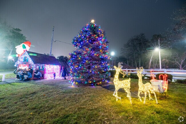 The Islandia Christmas tree lighting is held at the Islandia Village Hall.