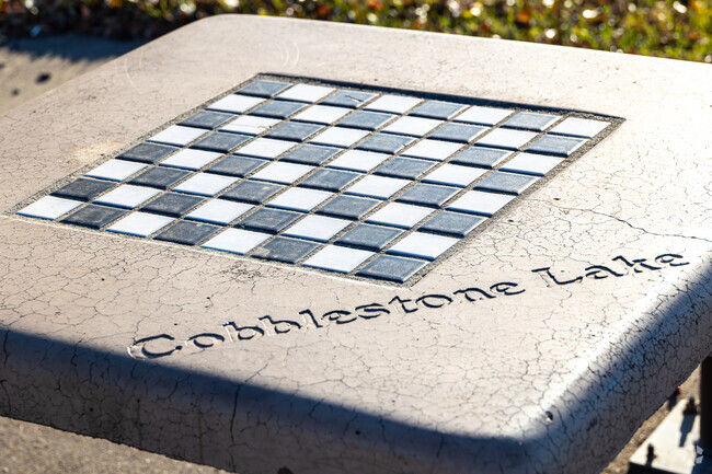 The tables at Cobblestone Lake Park has inlayed chess and checker boards.