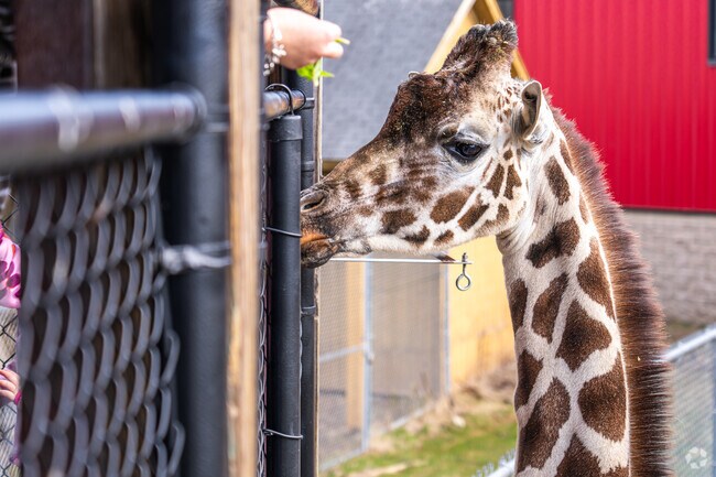 The NEW Zoo & Adventure Park offers close-up animal encounters and outdoor adventures.