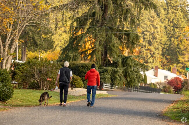Beach homes dot the coast of Home amid vibrant fall foliage.