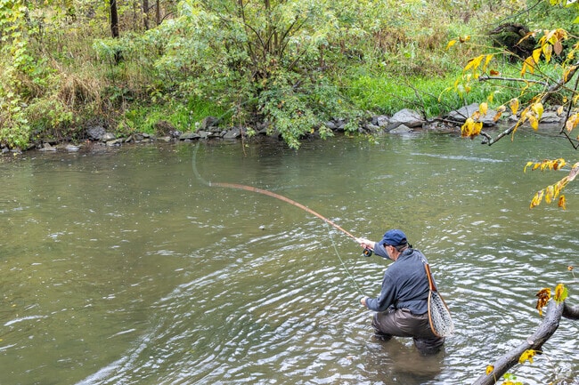 Fishermans Paradise in Benner is one of the most accessible fishing areas in the United States.