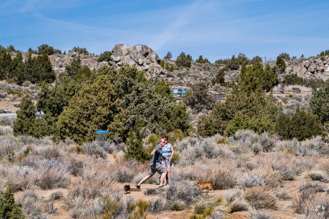 The Lizard Peak Disc Golf Course has 18 holes in Sun Valley spread throughout the high desert.