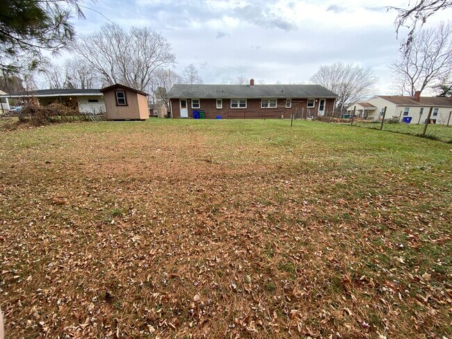 backyard 1