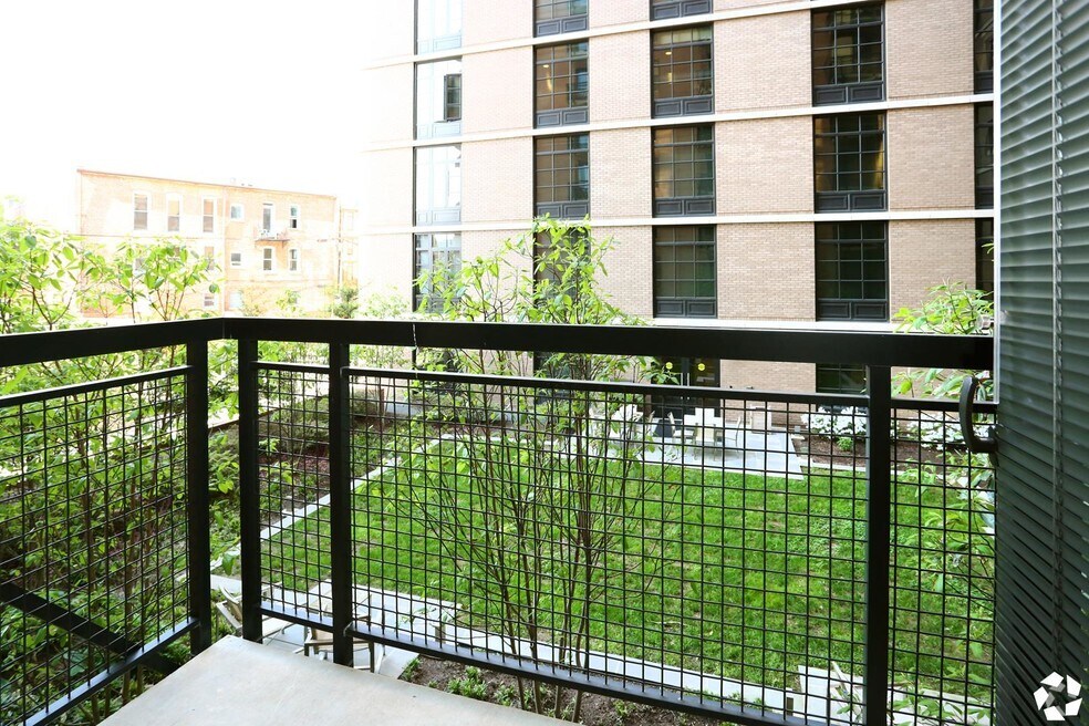 Cortland Mount Vernon