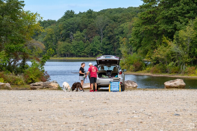 Residents enjoy walking their dogs at Mansfield Hollow State Park.
