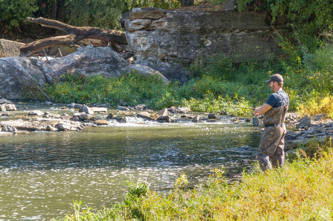 Marseilles anglers enjoy access to multiple rivers, offering excellent fishing conditions.