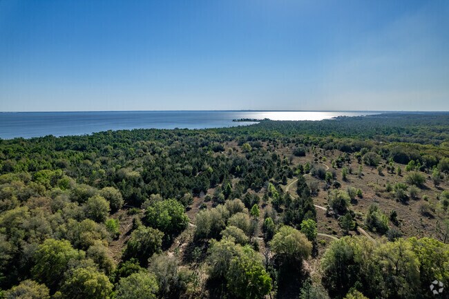 Ferndale sits on the largest lake in Lake County. Lake Apopka.