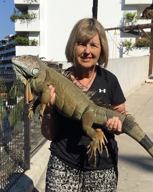 Linda Zimmerman