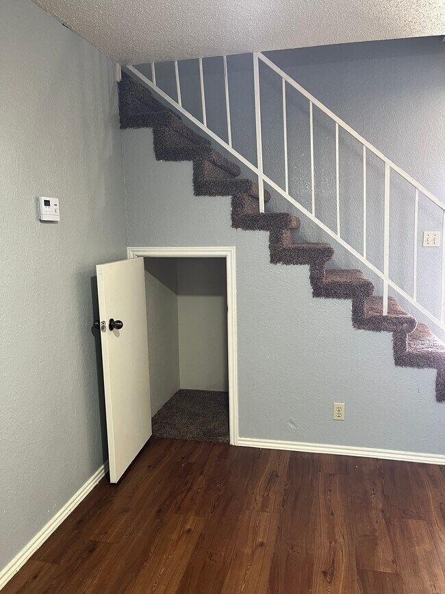 Storage under stairs and living room