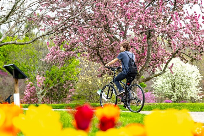 The Arboretum near Shadeland is a popular destination for active residents and nature lovers.