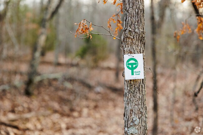 The Ozark Trail and 27 miles of hiking can be accessed just north of West Plains.