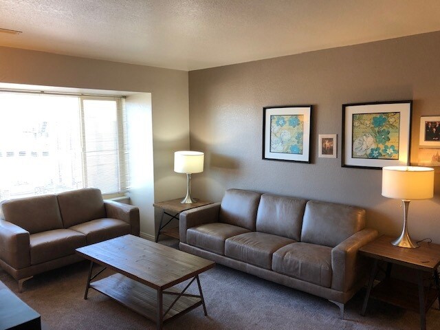 Large Living Room