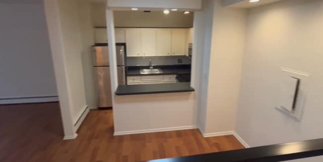 57 E Chestnut St, Chicago, IL 60611 - photo 5