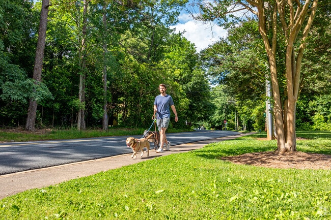 Local residents love to walk their pets along the sidewalks in Windsor Park.