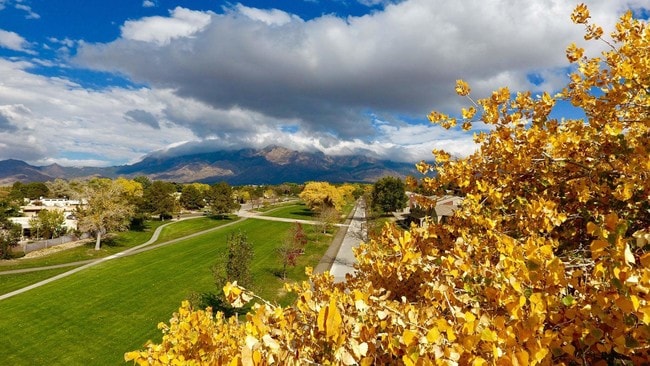 Spring Park, Albuquerque, NM 87111 - photo 6