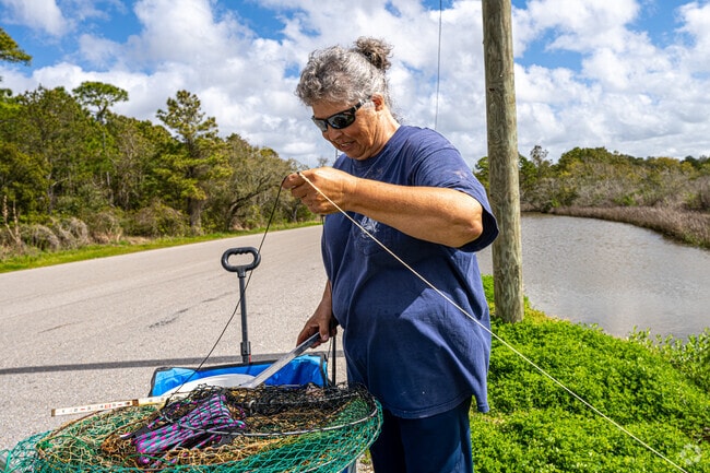 Try your luck crabbing at the Bellefontaine Marsh Preserve near Gulf Hills.