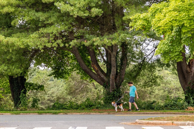 There are plenty of trails for you and your dog to enjoy in River Run.