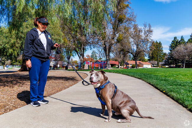 Dog owners in Diablo Shadows enjoy fresh air and peaceful trails at the Diablo Shadows neighborhood park.