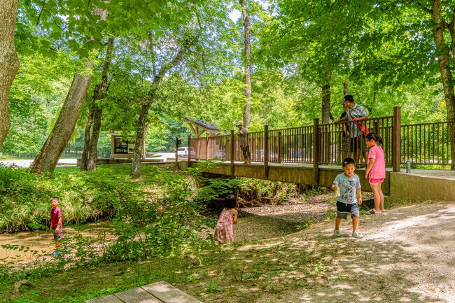 Explore the creeks and streams that run throughout Rock Bridge Memorial State Park.