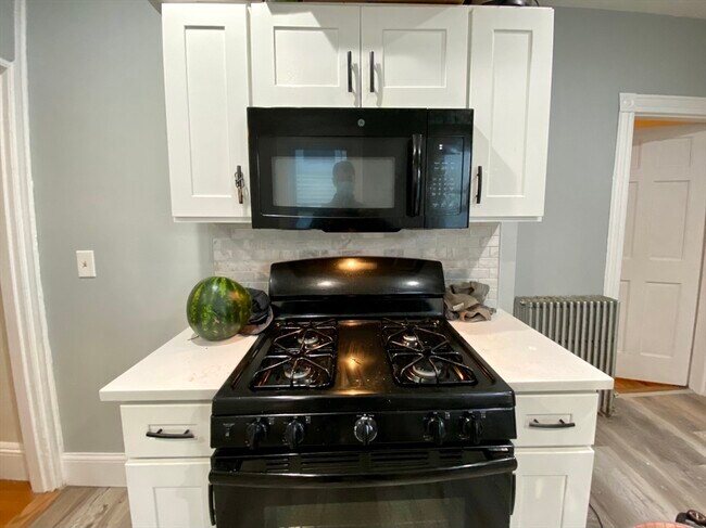 3 Oswald St unit 1, Roxbury Crossing, MA 02120 - photo 5