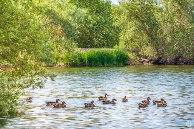 Open seasonally, the Henderson Bird Viewing Preserve is a sanctuary for winter migratory birds.