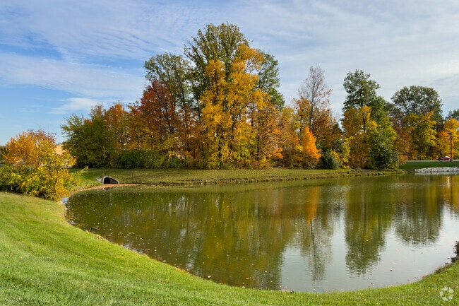 Parks and green spaces in New Britton abound.